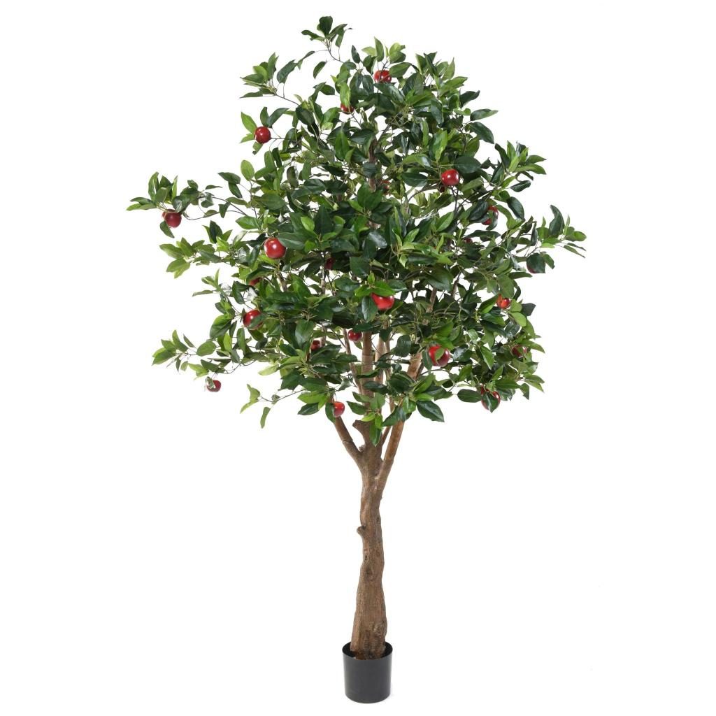 Pommier décoratif à fruits rouges, 180 cm — photographie complémentaire