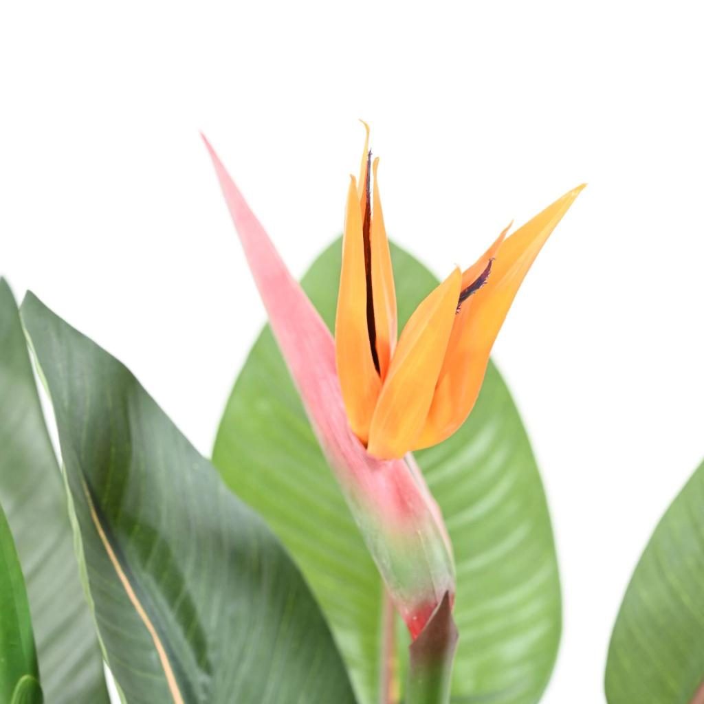 Strelitzia décoratif orange, 110 cm — photographie complémentaire