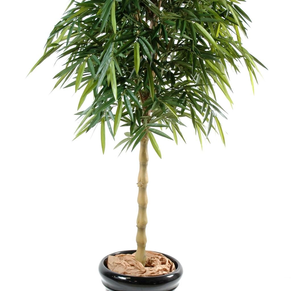 Bambou décoratif Bouddha de 180 cm — photographie complémentaire
