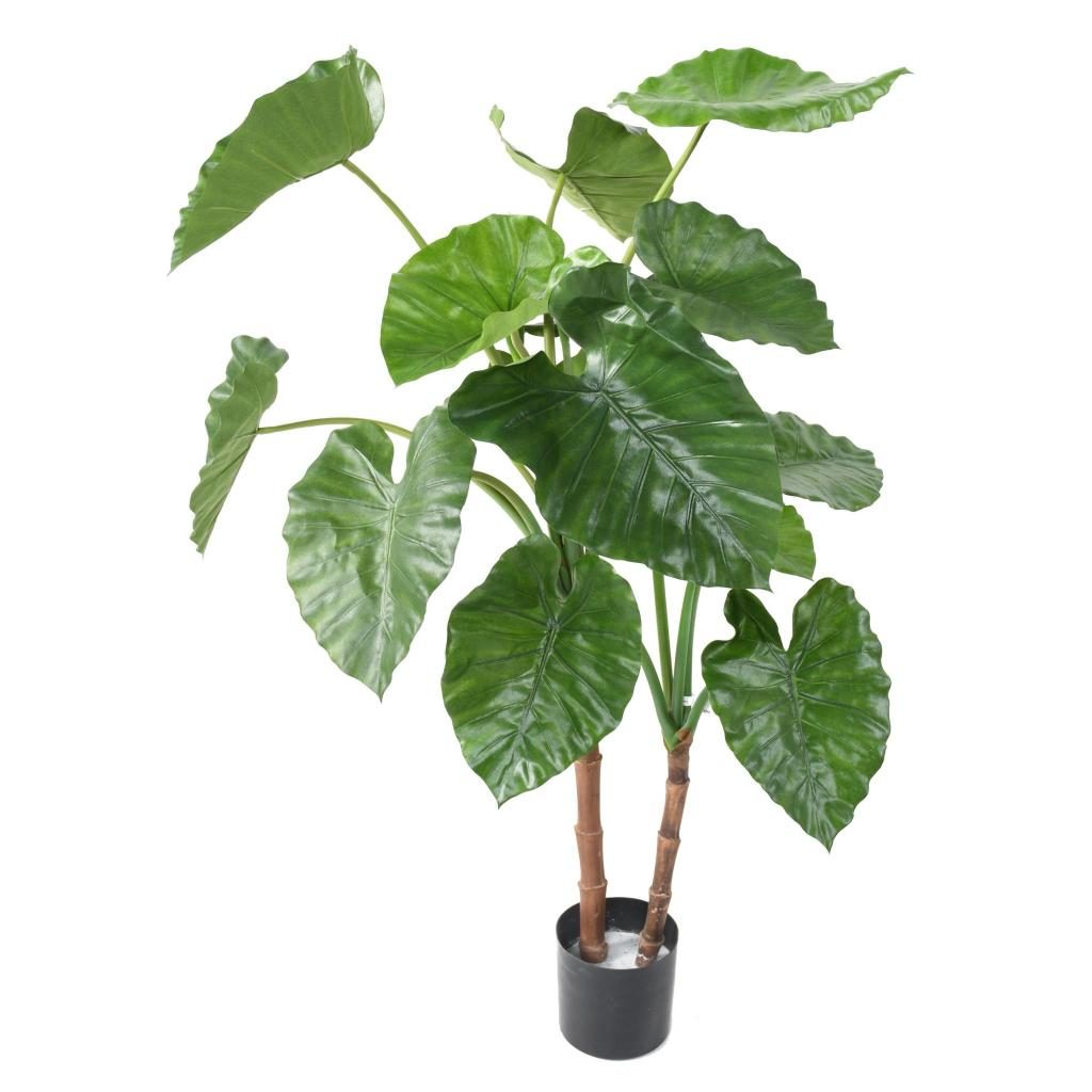 Alocasia décoratif à deux troncs, 130 cm — photographie complémentaire