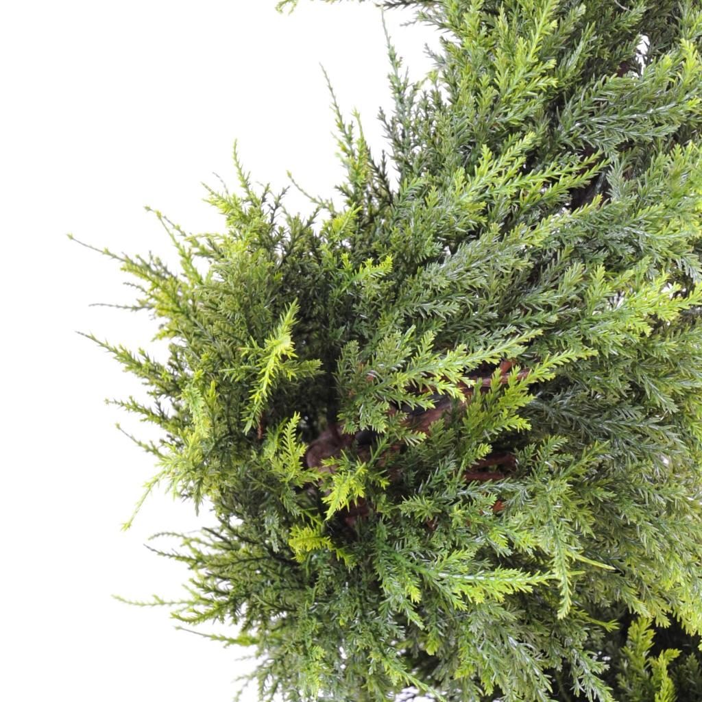 Juniperus décoratif en hélice, 130 cm — photographie complémentaire